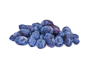 honeysuckle on the white