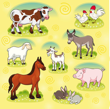 Farm animals. Vector and cartoon isolated characters.