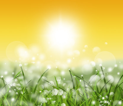 spring and nature background