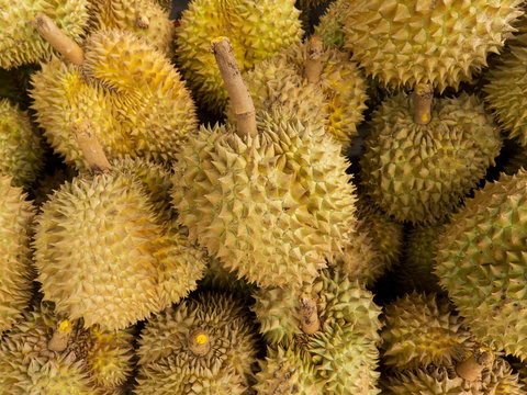 Stinkfrucht