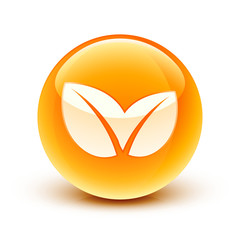 icône plante nature / leaves icon