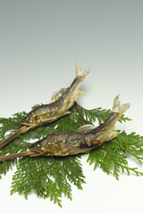 鮎の塩焼き