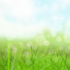 Obraz premium Spring or summer abstract