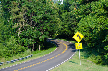 Curved forest road in summer
