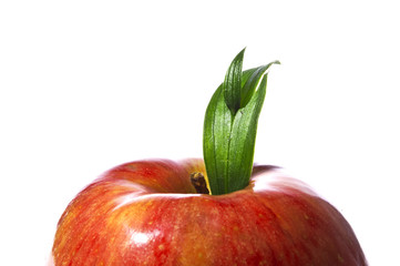 Red apple with green leaf - macro shot -