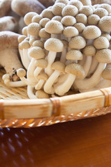 竹ざるの上のぶなしめじ