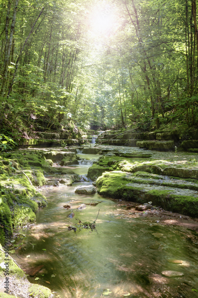 Wall mural Stream in the forest