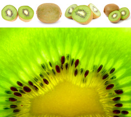 Kiwi Fruit Set Isolated on White Background