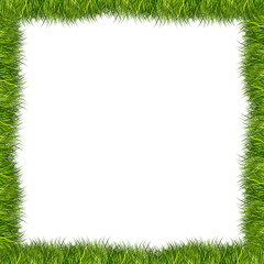 frame grass