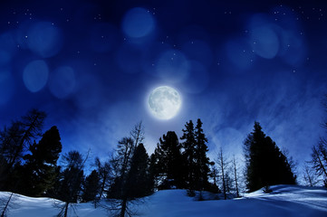beautiful winter night