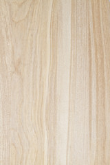 Texture of wood background