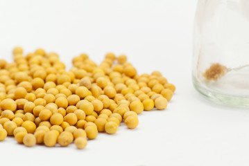 soybean