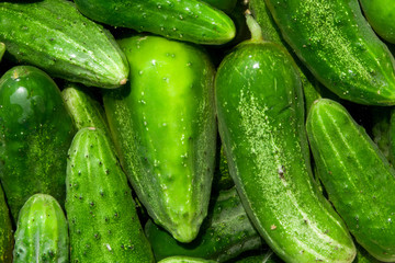 cucumbers