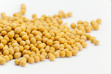 soybean
