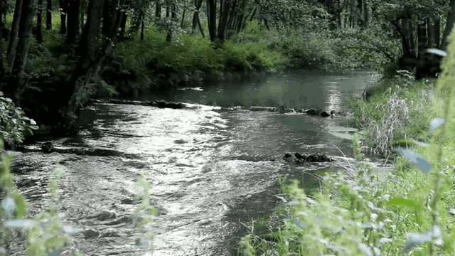 an der Luhe