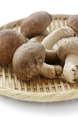 shiitake, japanese mushrooms , on bamboo basket