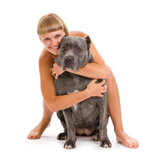 dog breed "Cane Corso"
