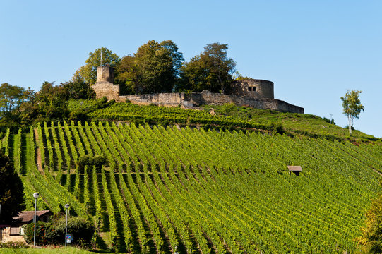 Weibertreu, Burg