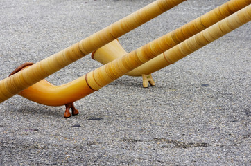 cor,instrument,musique,alpes,cor des alpes,suisse