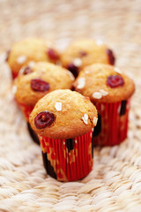 muffins with cranberries