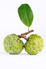 Custard apple