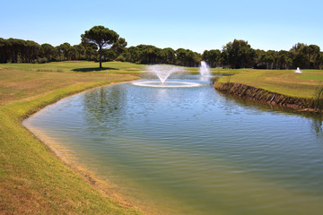 Fountain in the artificial pond.