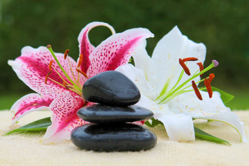 Spa still © Swetlana Wall