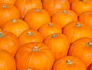 Colorful pumpkins