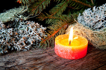 candela arancione con pino