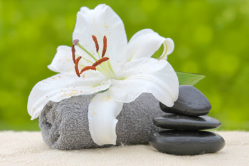 Fototapeta na wymiar white lily and spa stone