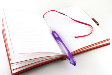 Notebook and violet pen