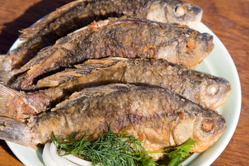 Fried fish carp in plate