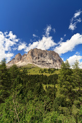 Sassolungo - Langkofel, vertical composition