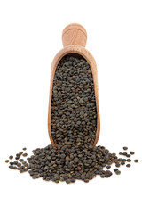 Lentils