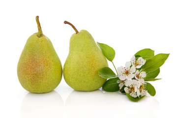 Pear Fruit and Flower Blossom © marilyn barbone