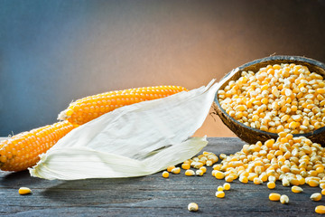 ear of corn © Ruggiero Scardigno