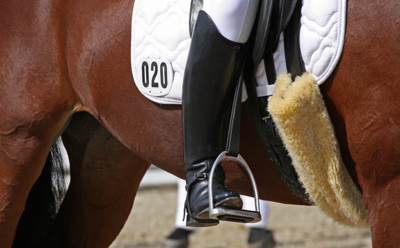 Human leg on horseback