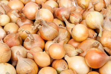 Raw ripe onions