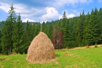 haystack on a pasture