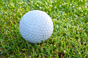 Golf ball closeup in the wet field