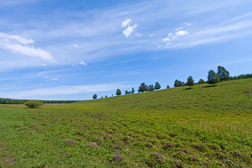 Fototapeta na wymiar grassland landscape