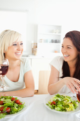 Happy women drinking wine