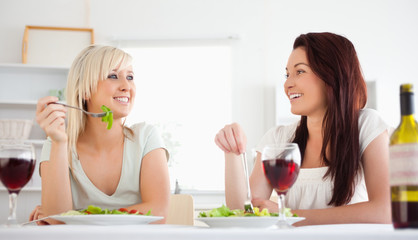 Obraz na płótnie Canvas Cheerful women eating salad