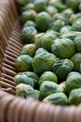 Rosenkohl © fotofund
