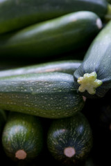 Zucchini