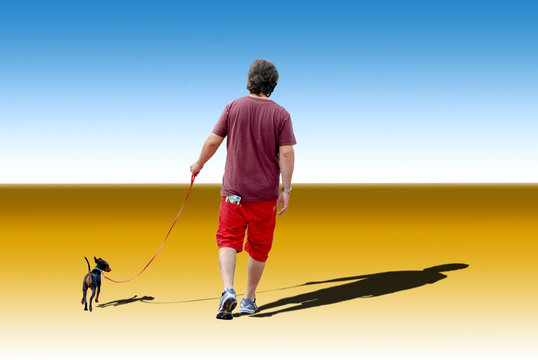 Compagno Images Browse 687 Stock Photos, Vectors, and Video Adobe Stock