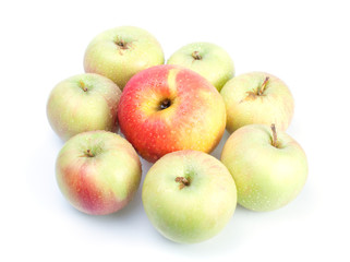 Domination concepts with apples