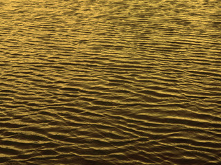 Gold water