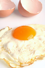 Coquille et oeuf au plat