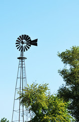 Windmill and Tree